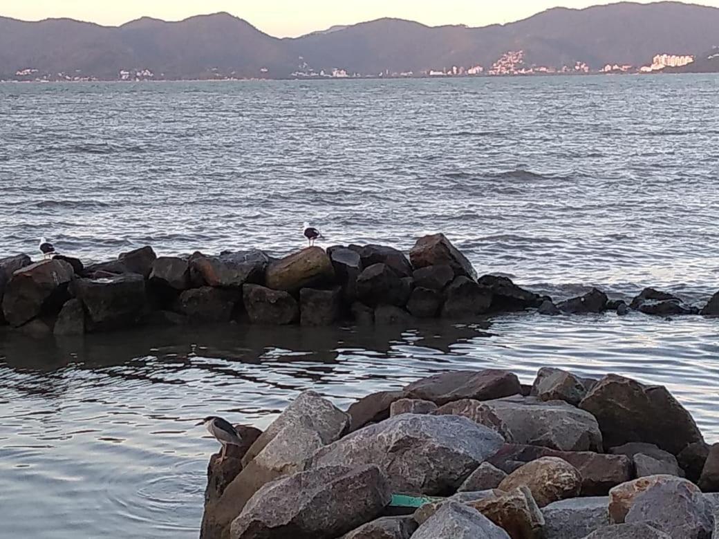 Florianópolis Hostel Nossa Casa מראה חיצוני תמונה