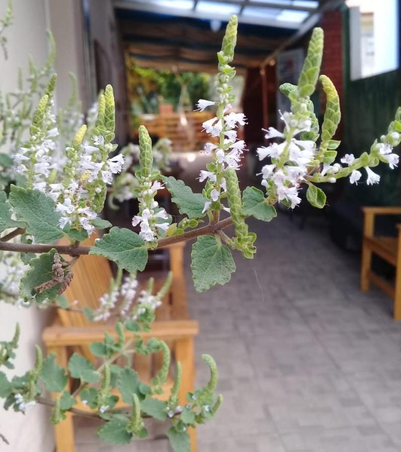 Florianópolis Hostel Nossa Casa מראה חיצוני תמונה