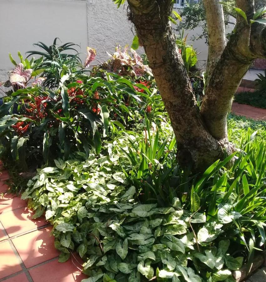 Florianópolis Hostel Nossa Casa מראה חיצוני תמונה