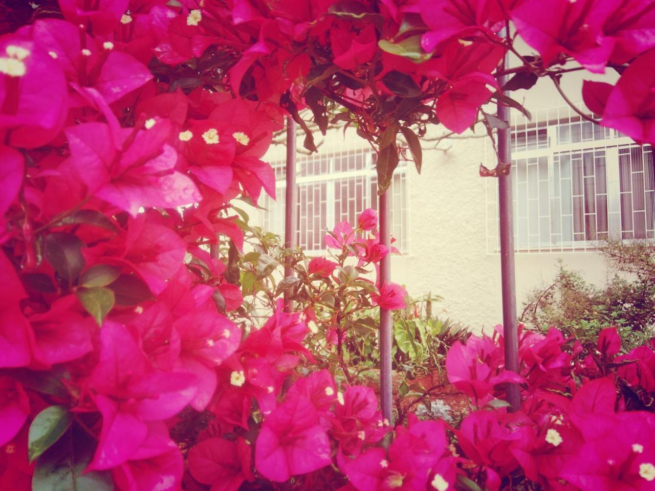 Florianópolis Hostel Nossa Casa מראה חיצוני תמונה